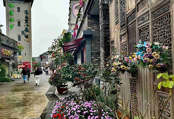 江门古劳水乡旅游区第 98 张图片