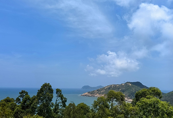 海龟湾第 27 张图片