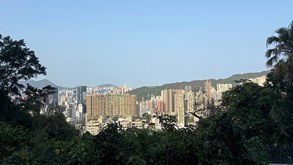 太平山顶第 249 张图片