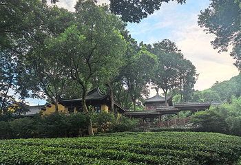 灵隐飞来峰景区第 99 张图片