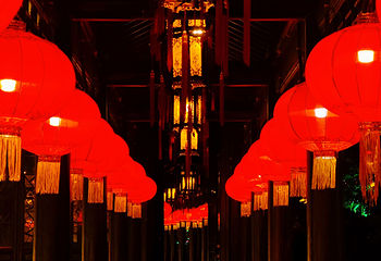 东宛园景区第 30 张图片