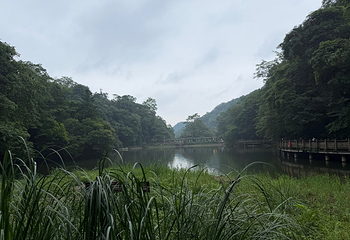 青城山第 164 张图片