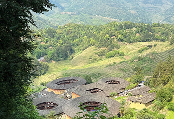 田螺坑土楼群第 53 张图片
