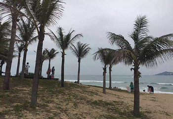 海棠广场第 34 张图片