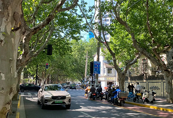 巨鹿路第 36 张图片