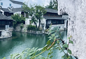 盐官潮乐之城第 99 张图片