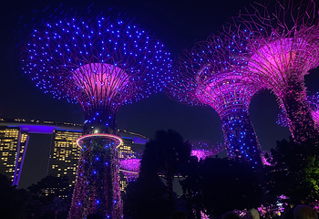 新加坡滨海湾花园第 261 张图片