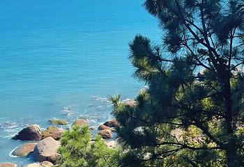 崂山风景区第 201 张图片