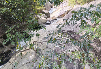 南岳衡山风景名胜区第 141 张图片
