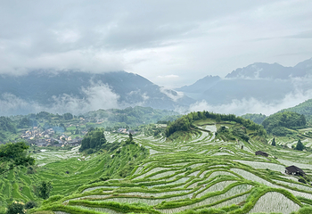 云和梯田景区第 34 张图片