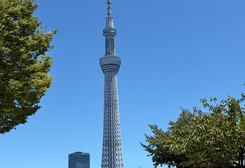 东京晴空塔第 79 张图片