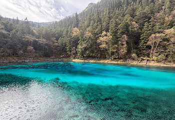 九寨沟风景区第 451 张图片