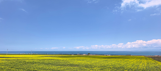青海湖景区第 74 张图片