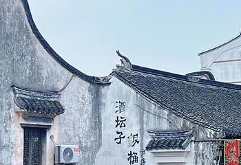 枫泾古镇第 70 张图片