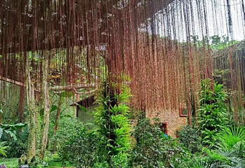 青秀山第 313 张图片