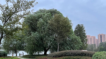 汤逊湖·悦湖公园