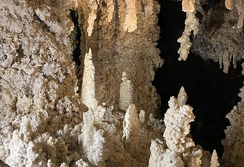 丹佛自然科学博物馆第 17 张图片