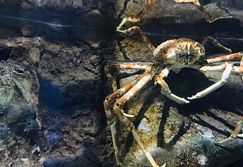 河内时代之城水族馆第 8 张图片