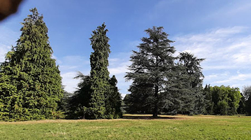 凡尔赛宫-舍夫勒洛普植物园