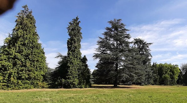 凡尔赛宫-舍夫勒洛普植物园