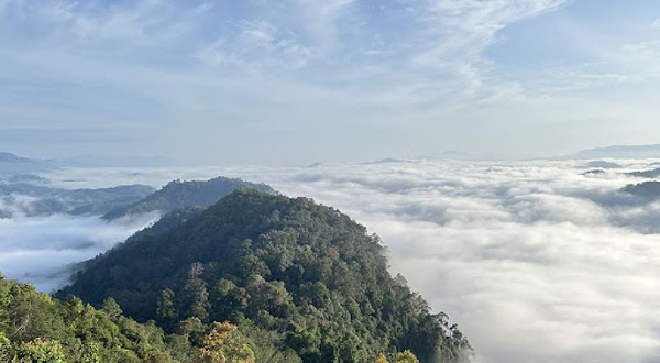 Penang Sightseeing & Transfer Service 槟城观光及接送服务