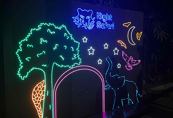 夜间野生动物园第 54 张图片