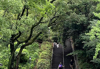 大阪城公园第 199 张图片