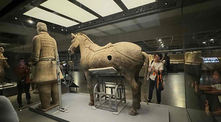 秦始皇帝陵博物院(兵马俑)第 646 张图片