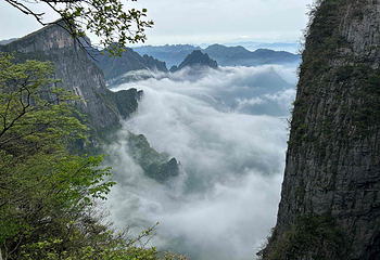 天门山国家森林公园第 161 张图片
