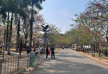 热带花卉园第 38 张图片