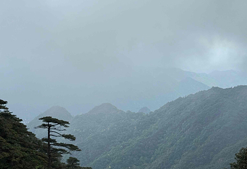 三清山风景区第 252 张图片