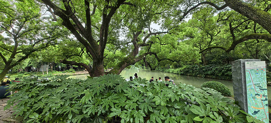 西溪国家湿地公园第 210 张图片