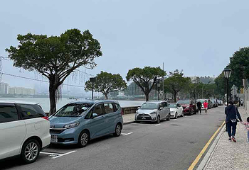 路环岛第 98 张图片
