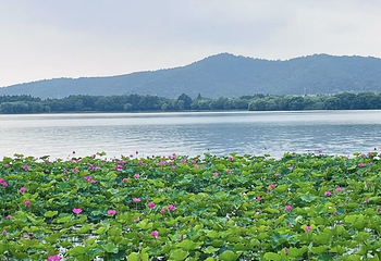石湖景区第 65 张图片