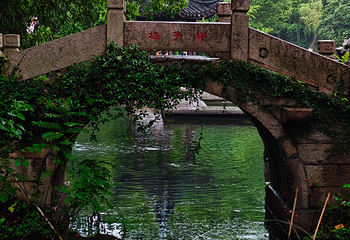 亭林园第 51 张图片