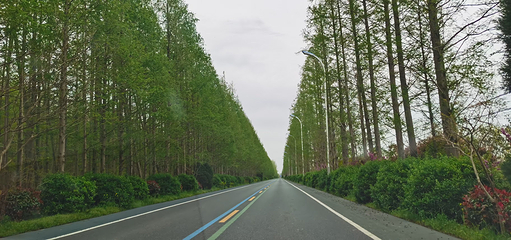 丹顶鹤湿地生态旅游区第 42 张图片