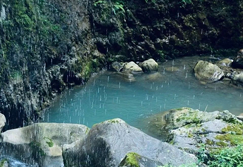 鹿院坪第 110 张图片