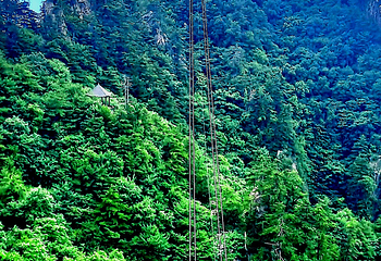 老界岭旅游度假区第 118 张图片