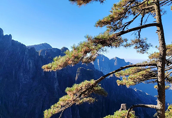 黄山风景区第 251 张图片
