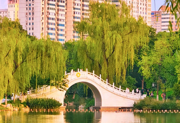 兴庆宫公园第 23 张图片