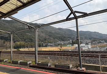 岚山嵯峨野观光小火车第 64 张图片