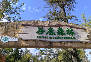 长白山景区第 60 张图片