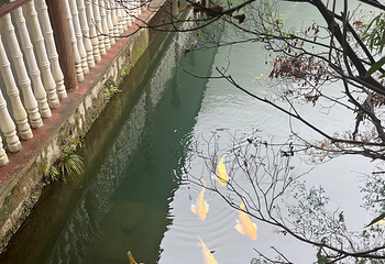 安吉灵溪山景区第 29 张图片