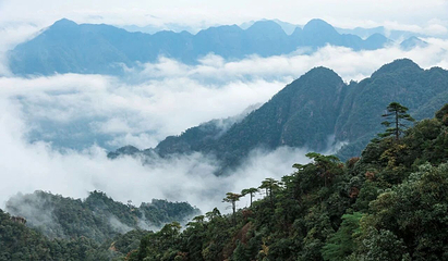 三清山风景区第 119 张图片