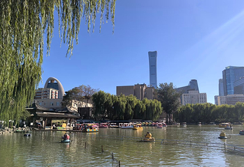团结湖公园第 67 张图片