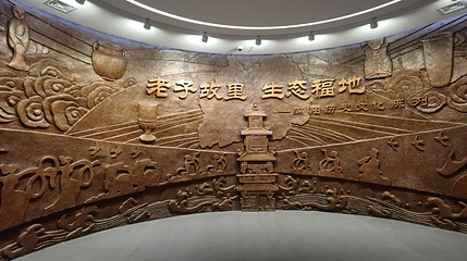 涡阳博物馆第 1 张图片