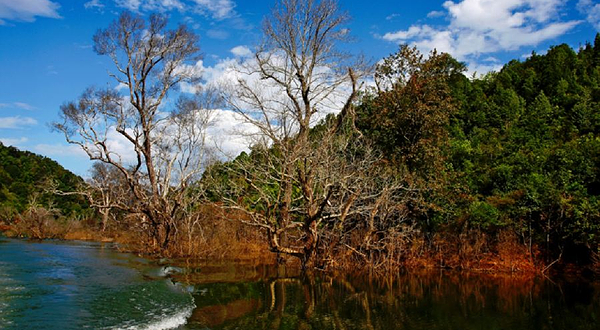 资溪九龙湖景区