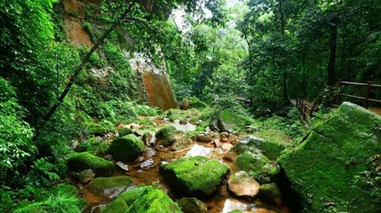 贵州茂兰国家级自然保护区-野兰谷第 1 张图片