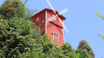 江岸花村玫瑰园