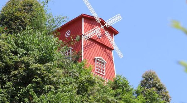 江岸花村玫瑰园